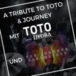 toto journey 11 01 25